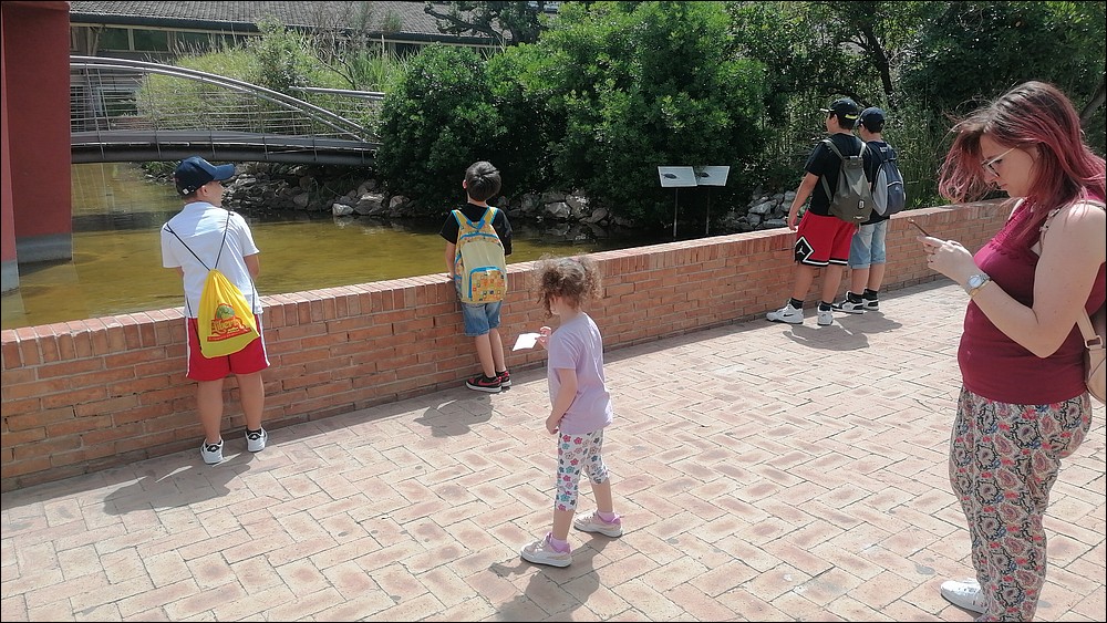 IMG-20230622-WA0023.jpeg