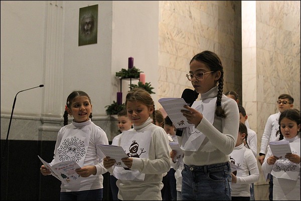 IMG_2664.JPG